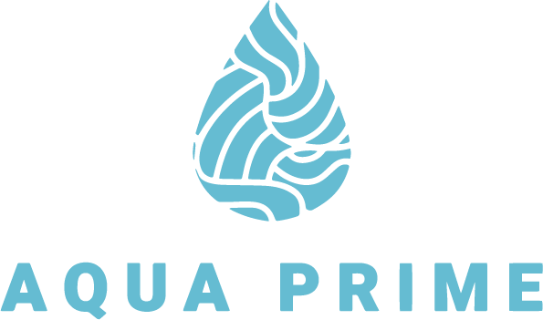 Logo 21